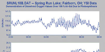 Environmental Dissolved Oxygen Values Above 100% Air Saturation